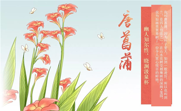 pa旗舰厅(中国区)官方网站-PlayAce